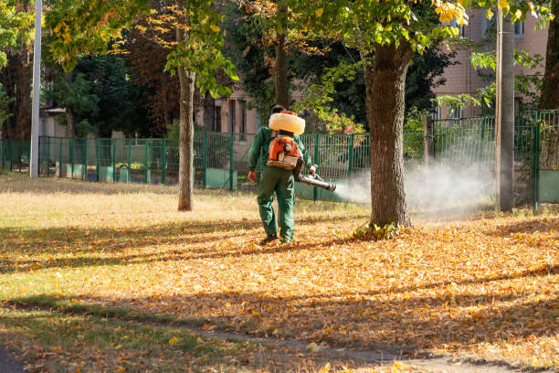 Best Mosquito Control Services  in Marmora, NJ